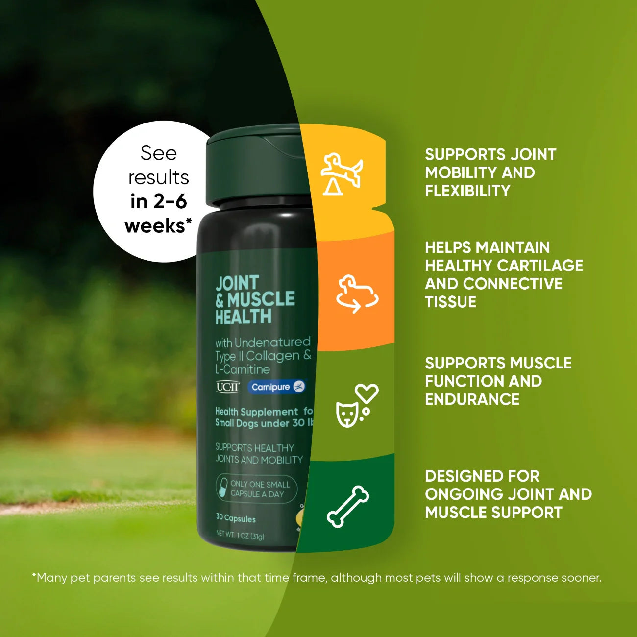 Joint & Muscle Health - Trending Wellness Store