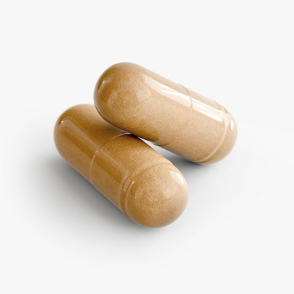 Joint Support - Trending Wellness Store