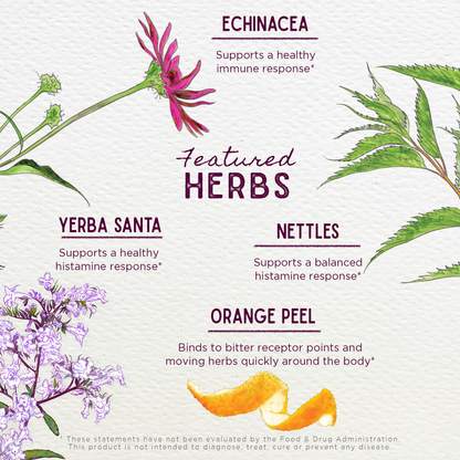 Kick-Ass Allergy & Sinus Soother - Trending Wellness Store