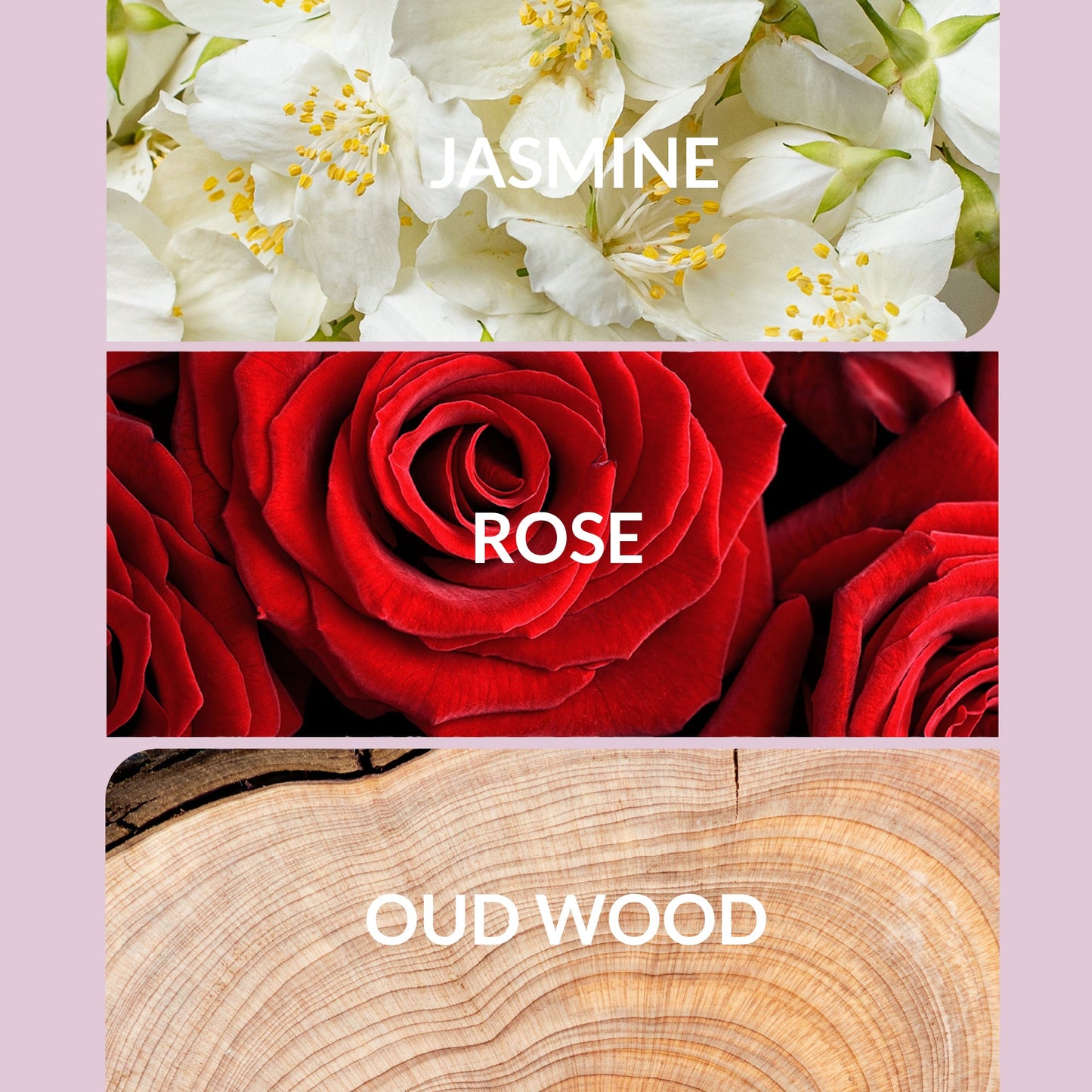 Kiss By a Rose - Trending Wellness Store