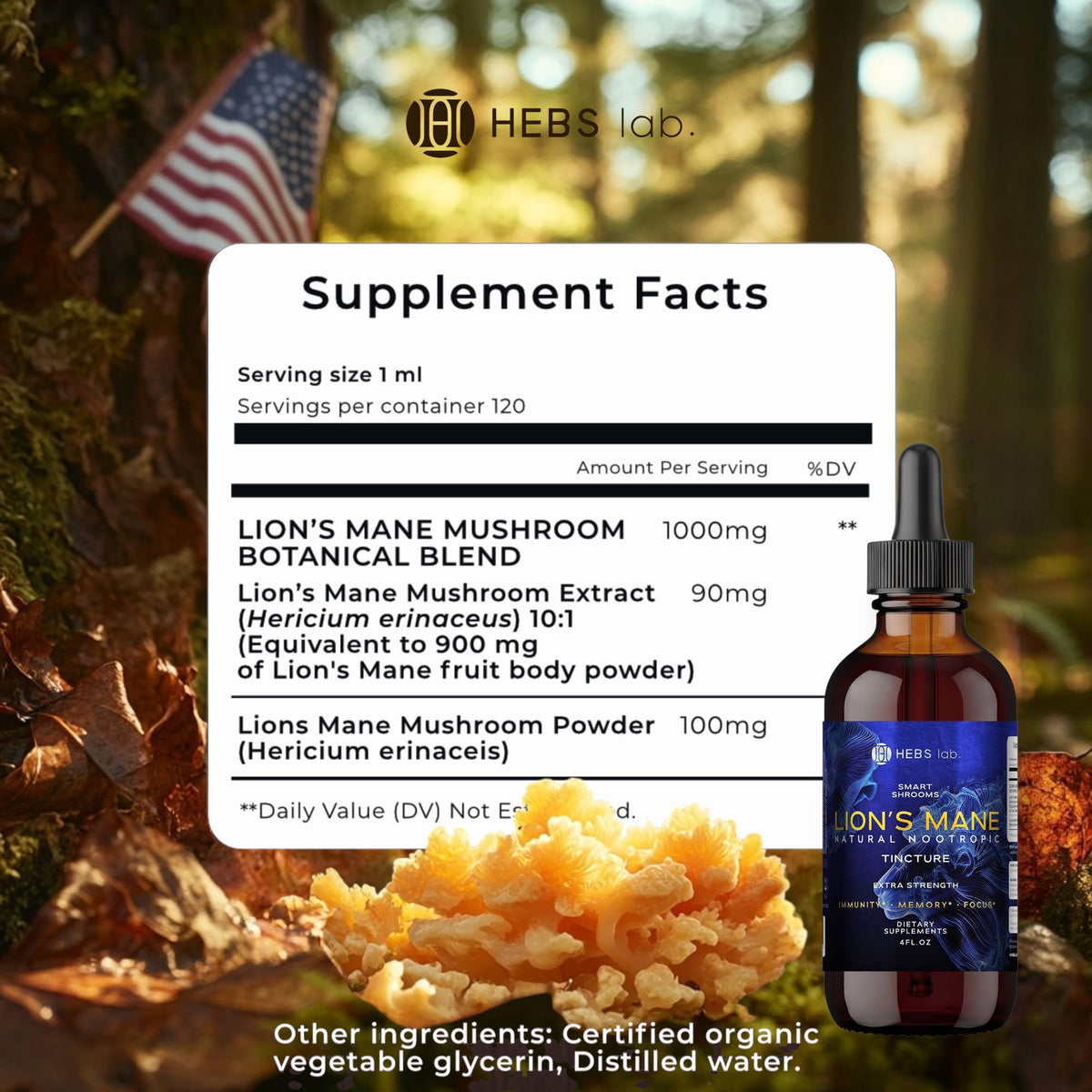 Lion's Mane Liquid Extract 4 oz – Premium Herbal Brain & Focus Support Tincture