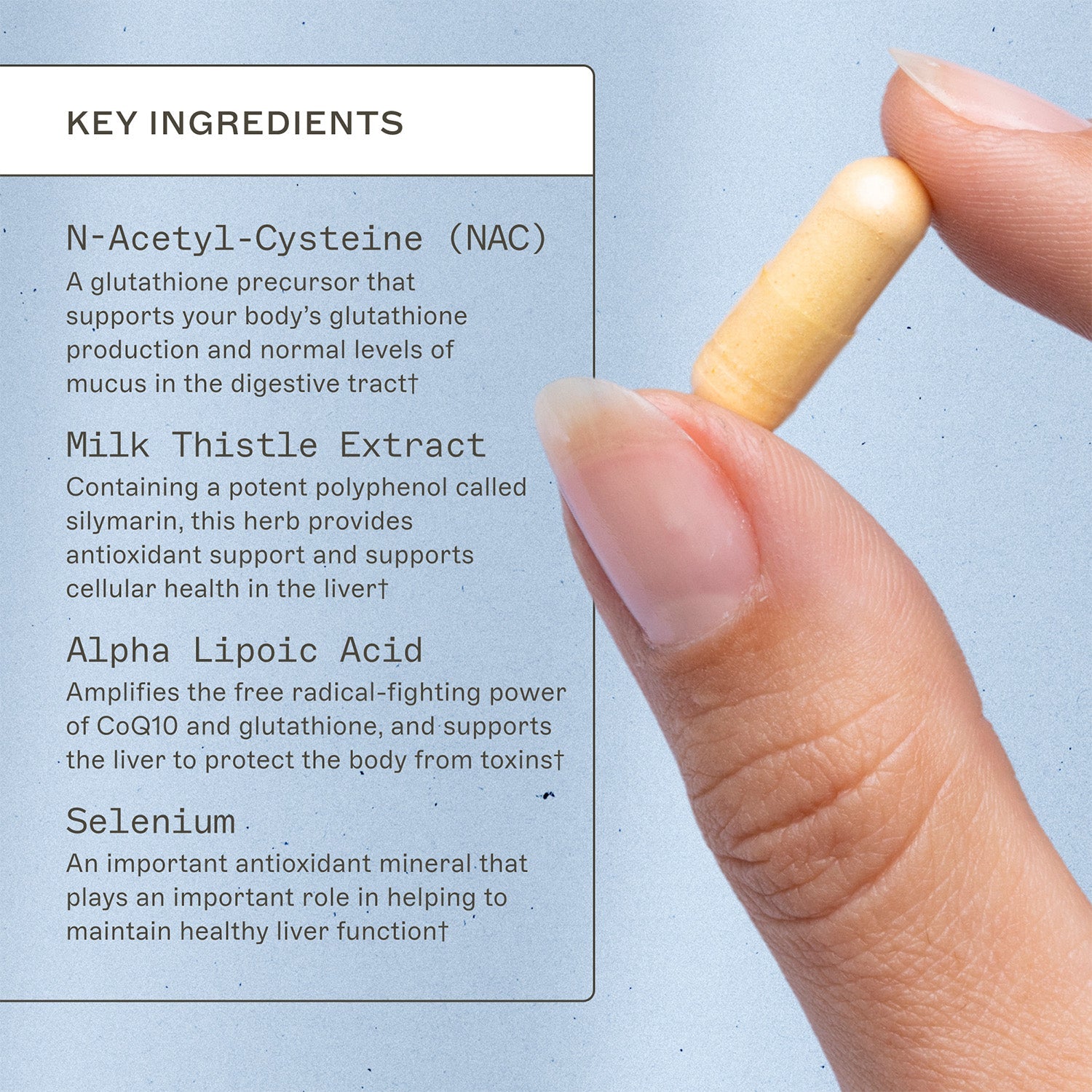 Trending Wellness Store