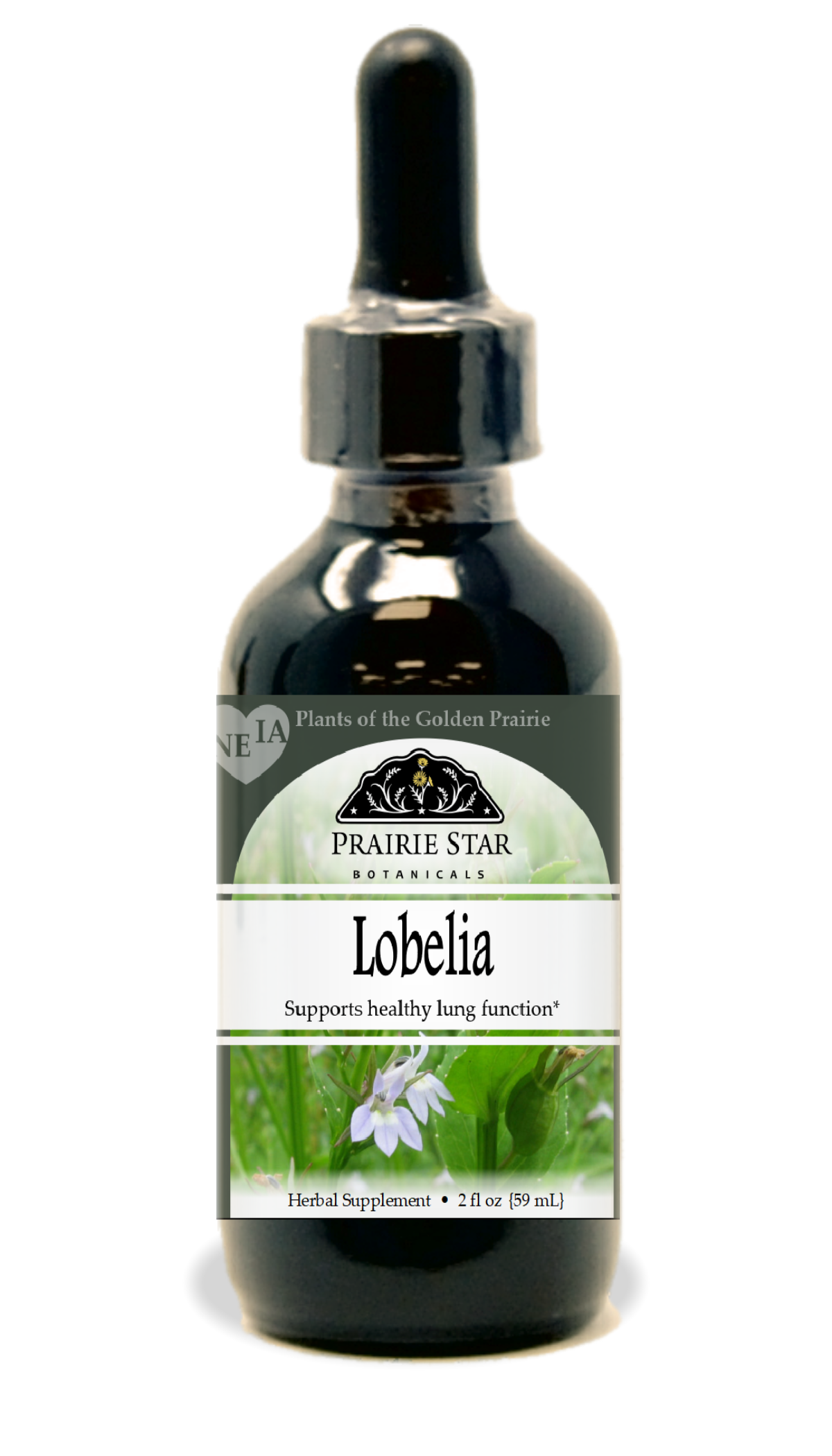 Trending Wellness Store