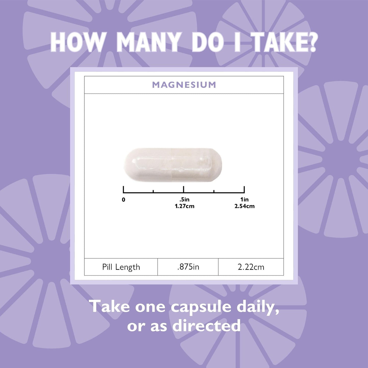 Magnesium, 100 mg Capsule - Trending Wellness Store