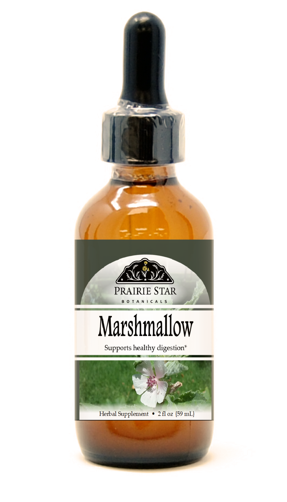 Trending Wellness Store