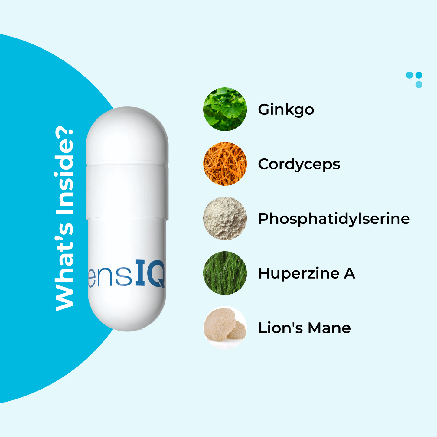 Memory Supplement for Brain Support - Trending Wellness Store