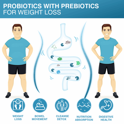 Men’s Probiotics, 60 Billion CFUs - Trending Wellness Store