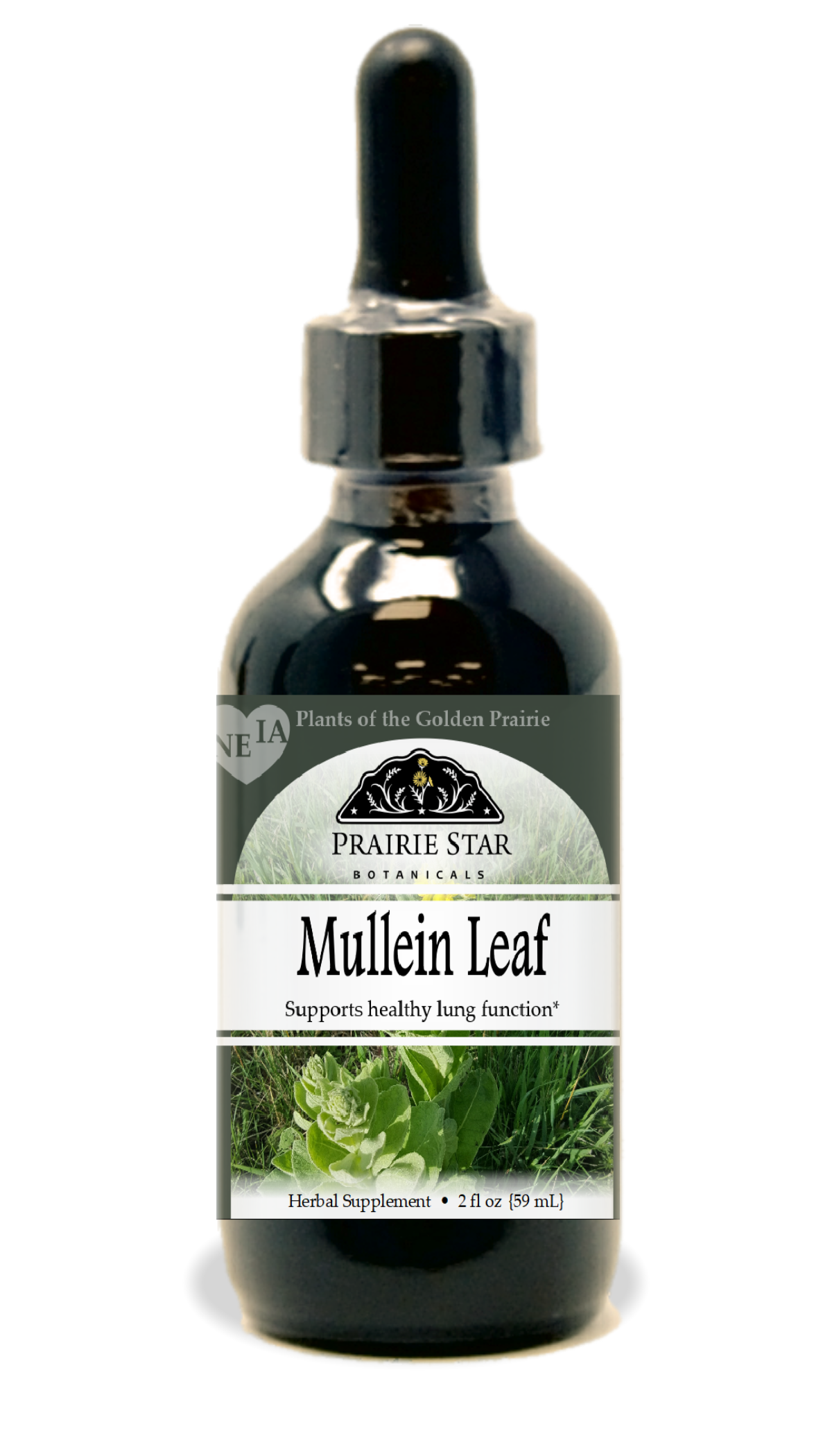 Trending Wellness Store