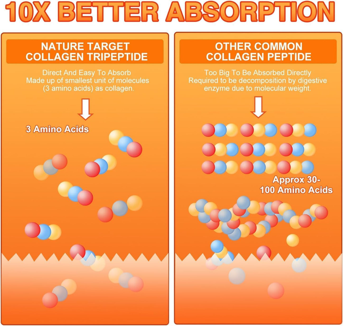 Multi Hydrolyzed Collagen Peptides, 10 Billion CFUs - Trending Wellness Store