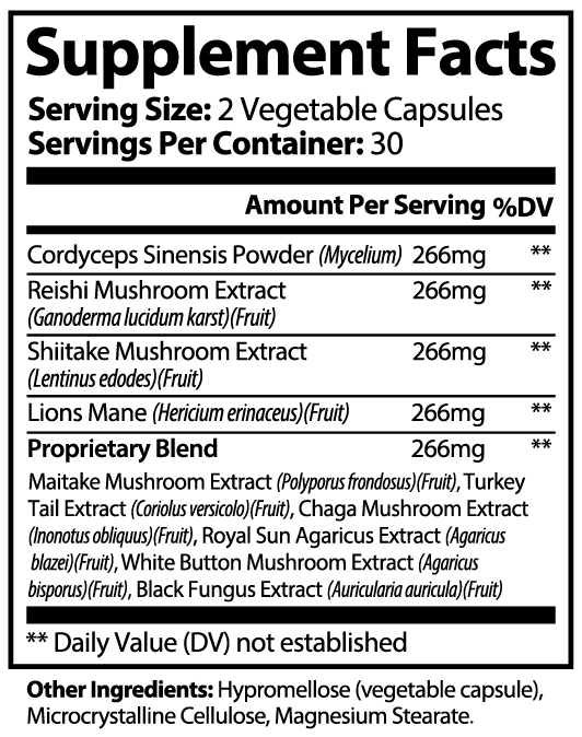 Mushroom Complex 10 X - Trending Wellness Store