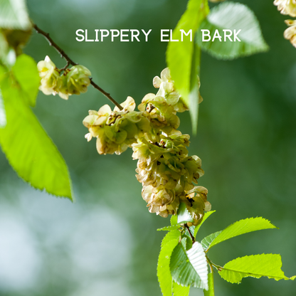 My Balance Nutrisentials – Colon Cleanse - Trending Wellness Store