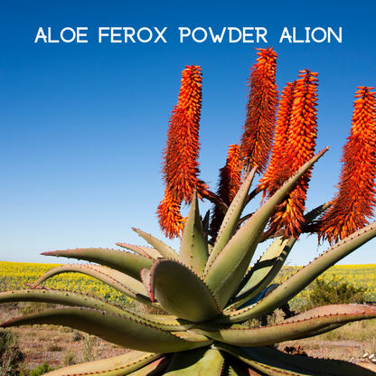 My Balance Nutrisentials – Colon Cleanse - Trending Wellness Store