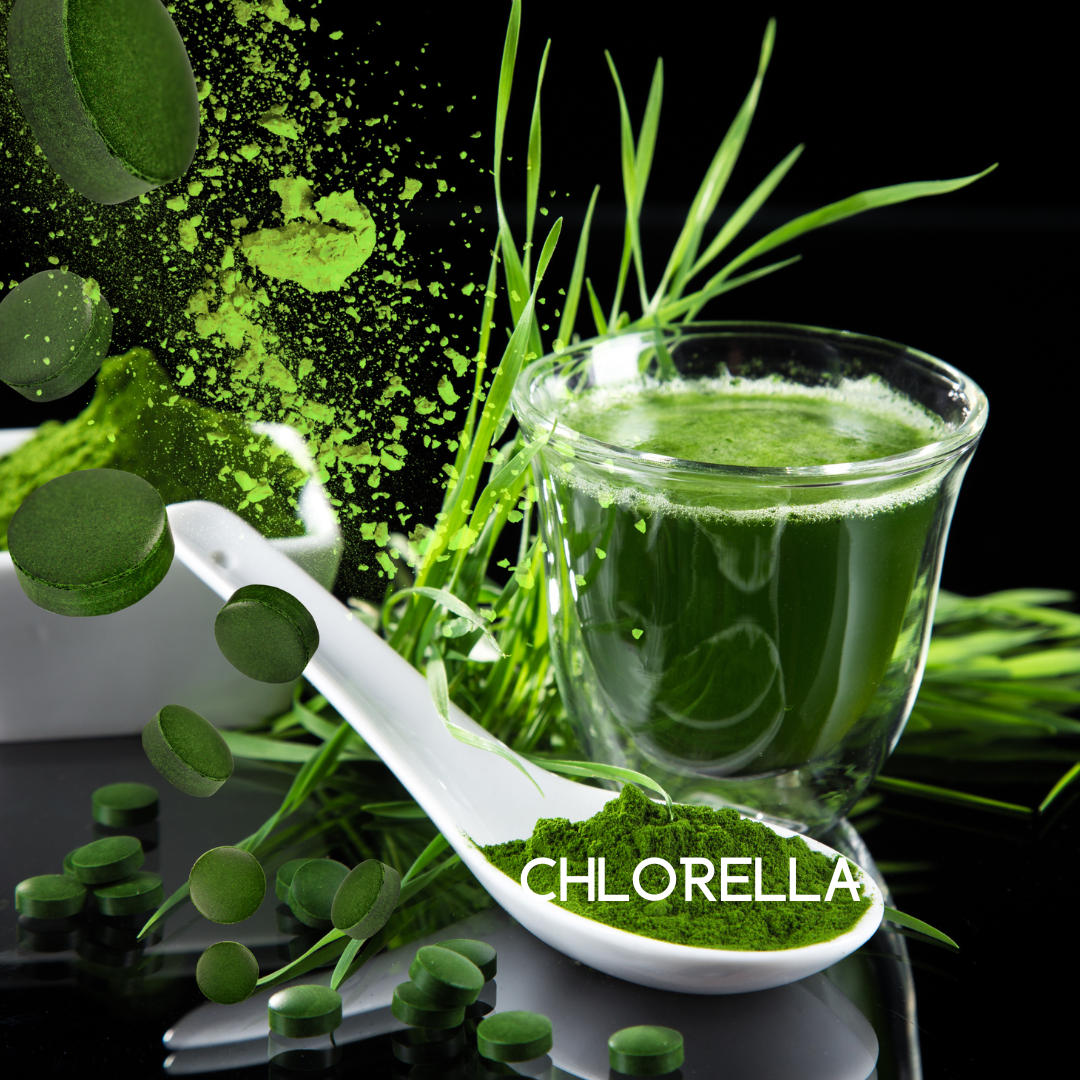 Trending Wellness Store