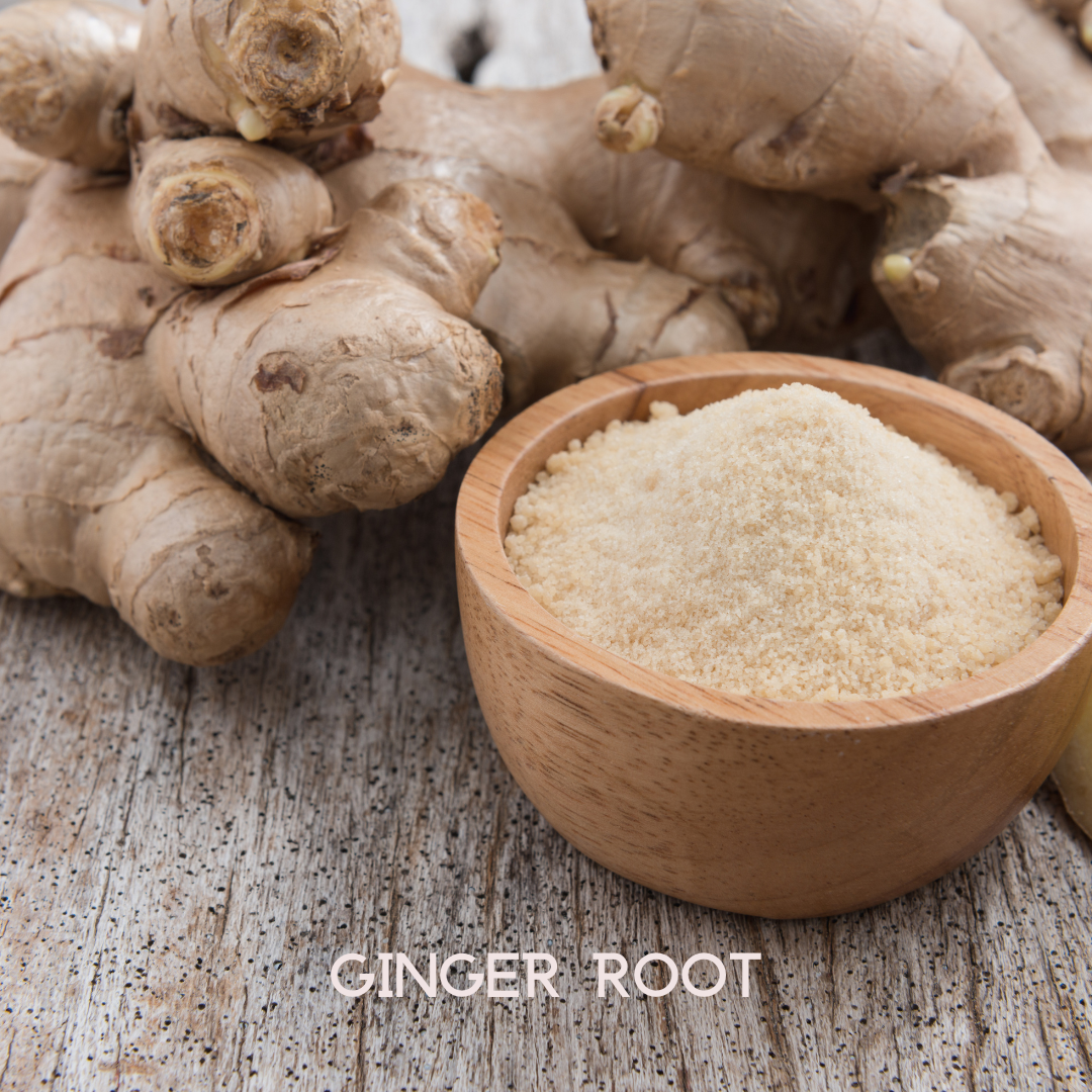 My Balance Nutrisentials – Colon Cleanse - Trending Wellness Store