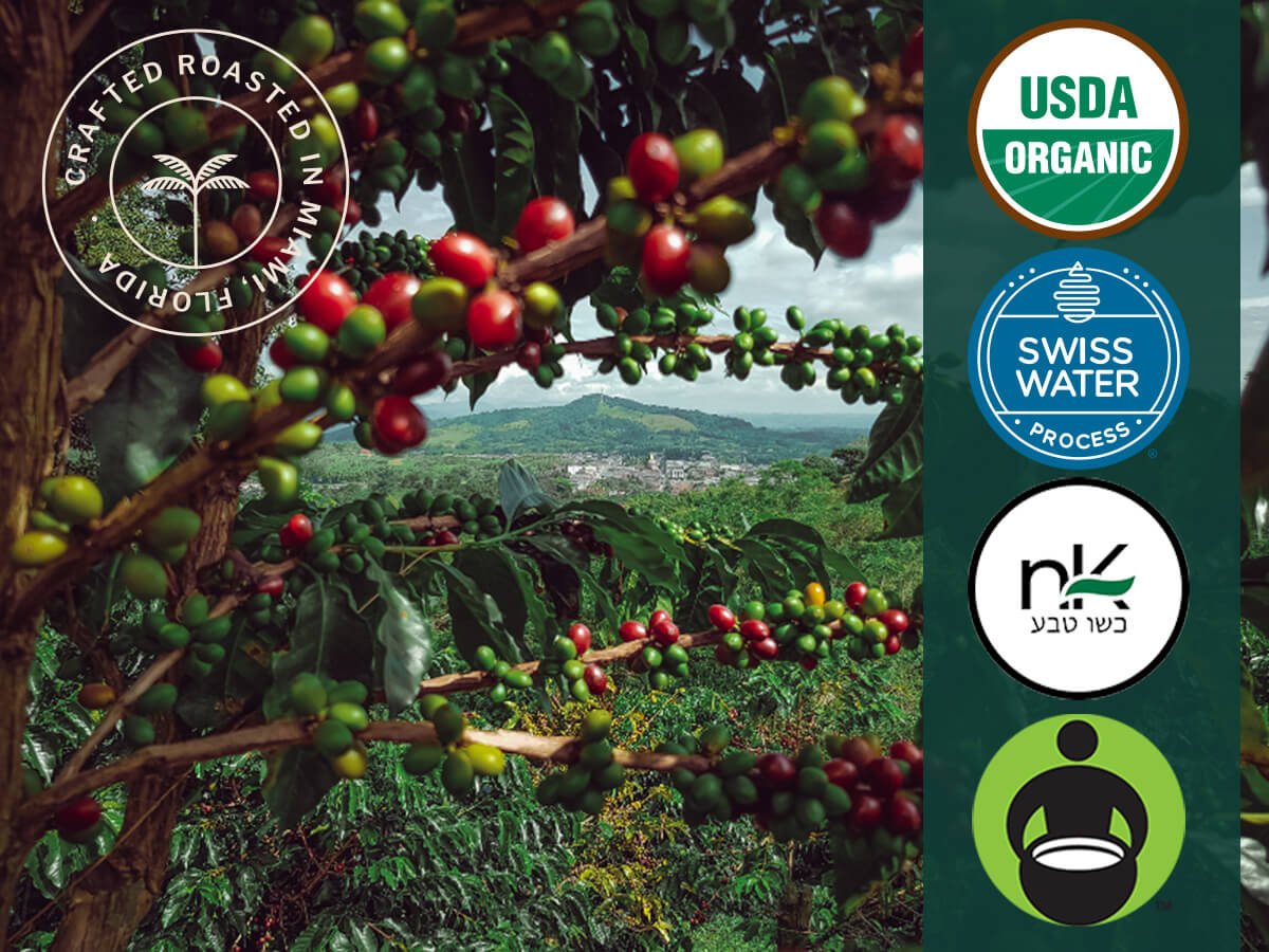 Organic Cuba Mia Decaf Espresso ESE Coffee Pods, Dark Roast - 18 Pods - Trending Wellness Store