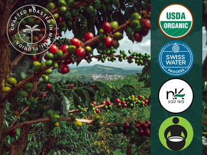 Organic Cuba Mia Decaf Espresso ESE Coffee Pods, Dark Roast - 18 Pods - Trending Wellness Store