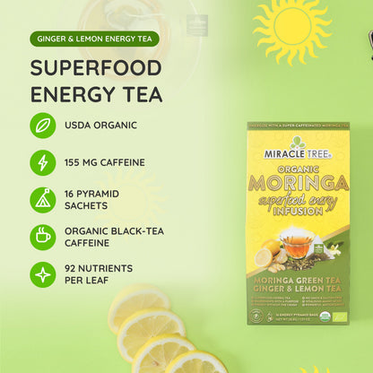 Organic Moringa Energy Tea - Ginger Lemon - Natural Coffee Alternative - Trending Wellness Store