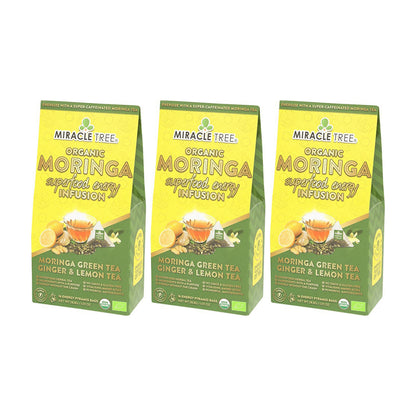 Organic Moringa Energy Tea - Ginger Lemon - Natural Coffee Alternative - Trending Wellness Store