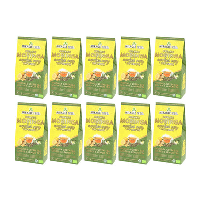 Organic Moringa Energy Tea - Ginger Lemon - Natural Coffee Alternative - Trending Wellness Store