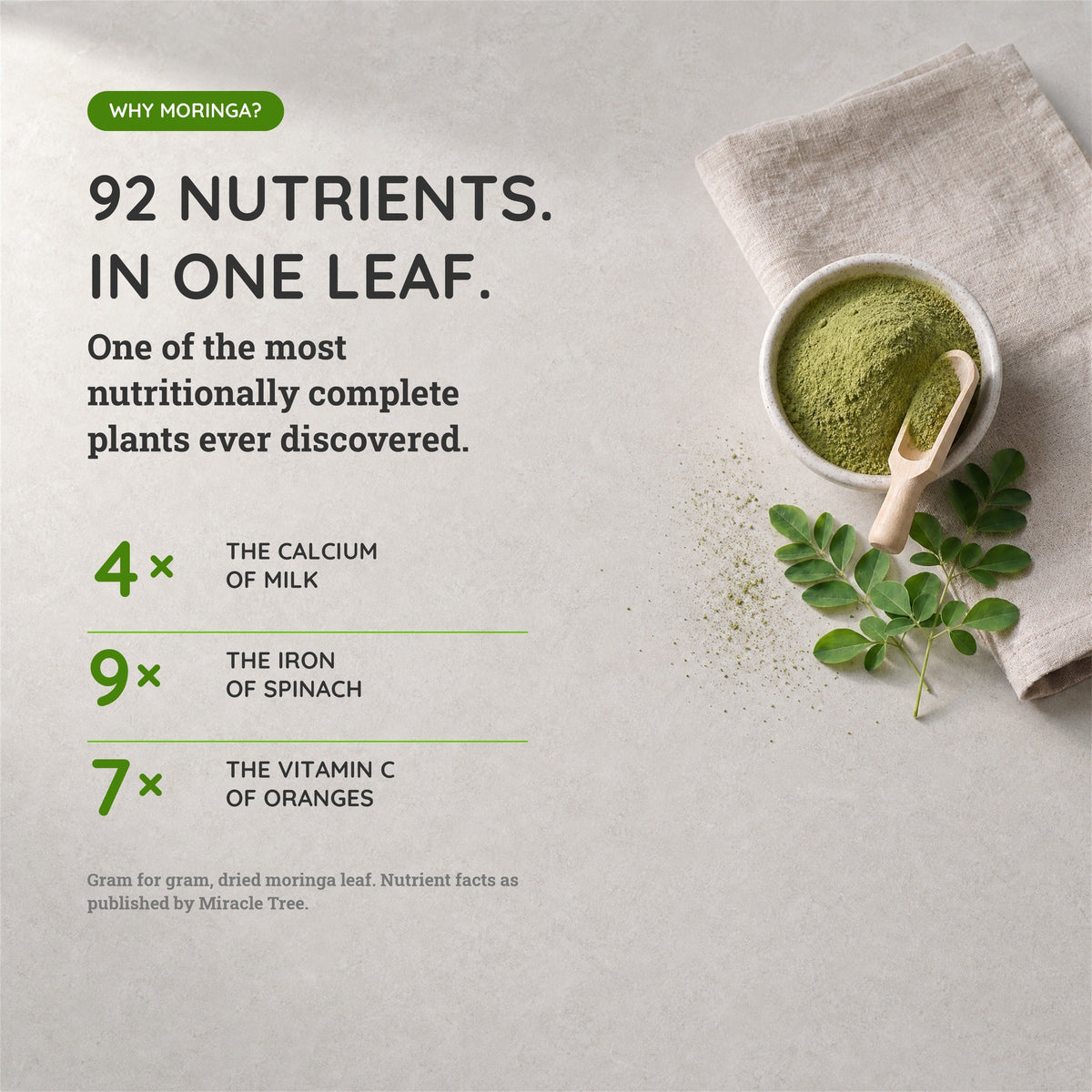 Organic Moringa Powder - 16oz Pouch - Trending Wellness Store
