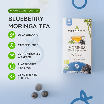 Organic Moringa Tea - Blueberry - Caffeine-Free Herbal Tea - Trending Wellness Store