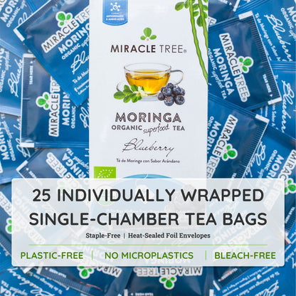 Organic Moringa Tea - Blueberry - Caffeine-Free Herbal Tea - Trending Wellness Store