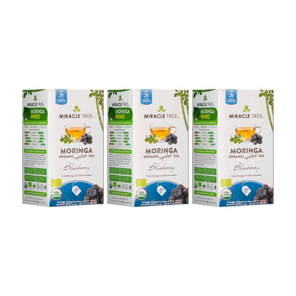 Organic Moringa Tea - Blueberry - Caffeine-Free Herbal Tea - Trending Wellness Store