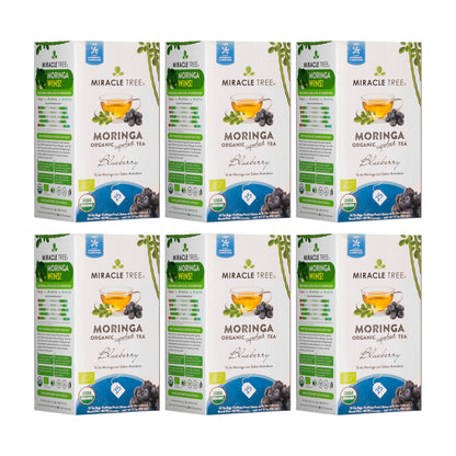 Organic Moringa Tea - Blueberry - Caffeine-Free Herbal Tea - Trending Wellness Store