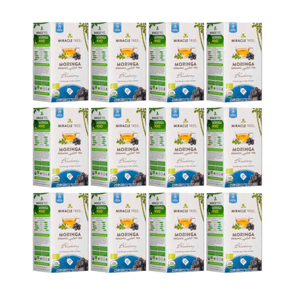 Organic Moringa Tea - Blueberry - Caffeine-Free Herbal Tea - Trending Wellness Store