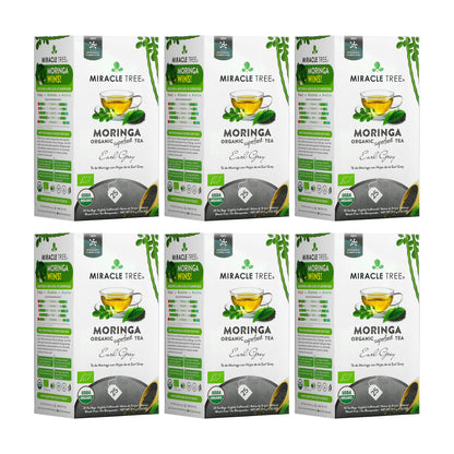 Organic Moringa Tea - Earl Grey - Lightly Caffeinated Herbal Tea - Trending Wellness Store