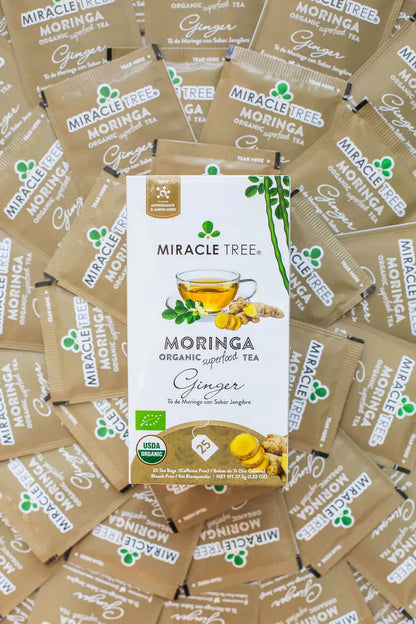 Organic Moringa Tea - Ginger - Caffeine-Free Herbal Tea - Trending Wellness Store