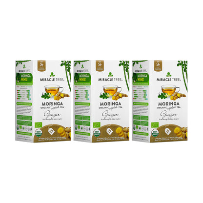 Organic Moringa Tea - Ginger - Caffeine-Free Herbal Tea - Trending Wellness Store