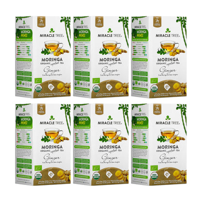 Organic Moringa Tea - Ginger - Caffeine-Free Herbal Tea - Trending Wellness Store