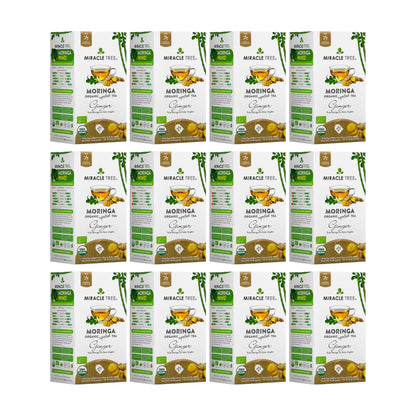 Organic Moringa Tea - Ginger - Caffeine-Free Herbal Tea - Trending Wellness Store