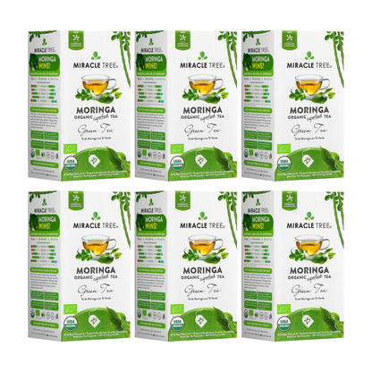 Organic Moringa Tea - Green Tea - Decaffeinated Herbal Tea - Trending Wellness Store