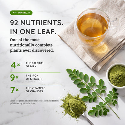 Organic Moringa Tea - Hibiscus - Caffeine-Free Herbal Tea - Trending Wellness Store