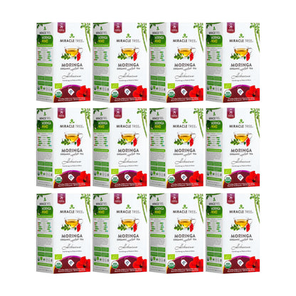Organic Moringa Tea - Hibiscus - Caffeine-Free Herbal Tea - Trending Wellness Store