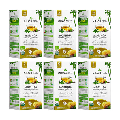 Organic Moringa Tea - Honey & Vanilla - Caffeine-Free Herbal Tea - Trending Wellness Store