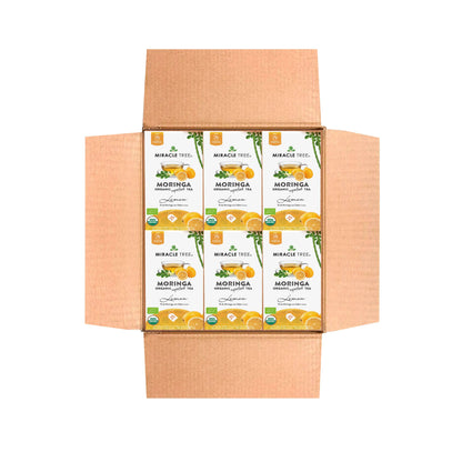 Organic Moringa Tea - Lemon - Caffeine-Free Herbal Tea - Trending Wellness Store