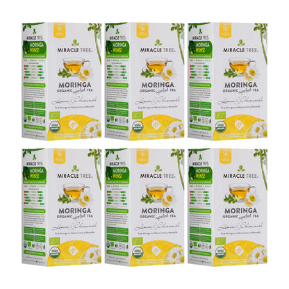 Organic Moringa Tea - Lemon & Chamomile - Caffeine-Free Herbal Tea - Trending Wellness Store