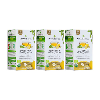 Organic Moringa Tea - Lemon & Ginger - Caffeine-Free Herbal Tea - Trending Wellness Store