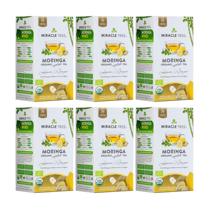 Organic Moringa Tea - Lemon & Ginger - Caffeine-Free Herbal Tea - Trending Wellness Store
