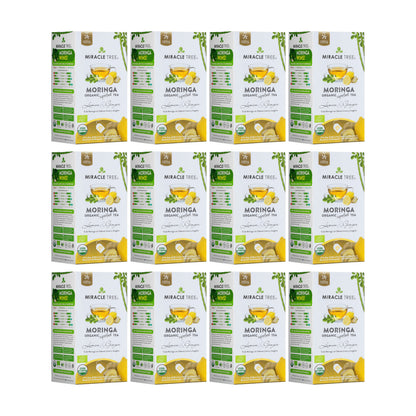 Organic Moringa Tea - Lemon & Ginger - Caffeine-Free Herbal Tea - Trending Wellness Store