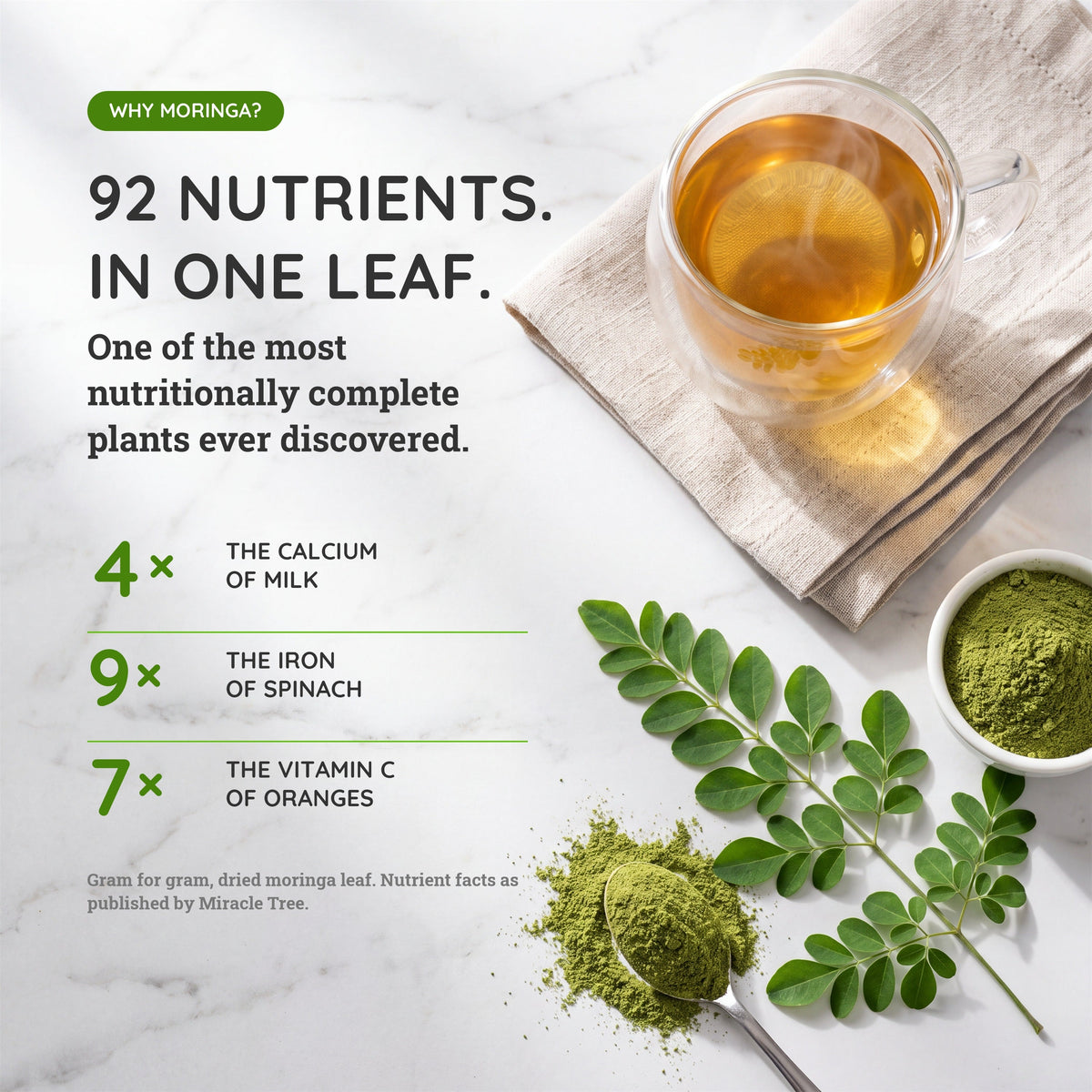 Organic Moringa Tea - Mango - Caffeine-Free Herbal Tea - Trending Wellness Store