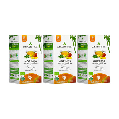 Organic Moringa Tea - Mango - Caffeine-Free Herbal Tea - Trending Wellness Store