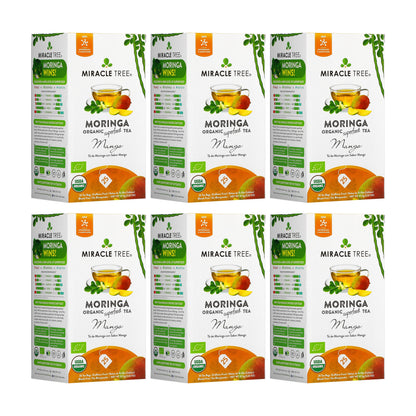 Organic Moringa Tea - Mango - Caffeine-Free Herbal Tea - Trending Wellness Store