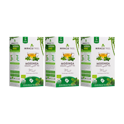 Organic Moringa Tea - Mint - Caffeine-Free Herbal Tea - Trending Wellness Store