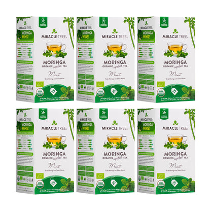 Organic Moringa Tea - Mint - Caffeine-Free Herbal Tea - Trending Wellness Store