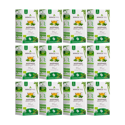Organic Moringa Tea - Mint - Caffeine-Free Herbal Tea - Trending Wellness Store