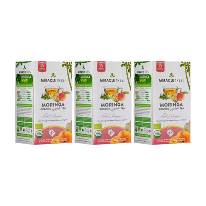 Organic Moringa Tea - Peach & Ginger - Caffeine-Free Herbal Tea - Trending Wellness Store